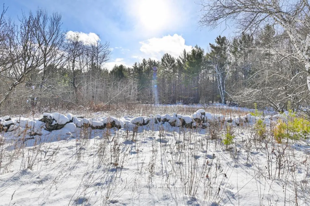 Photo 38 of 337 Jarvis Road, Madoc — HOMEH