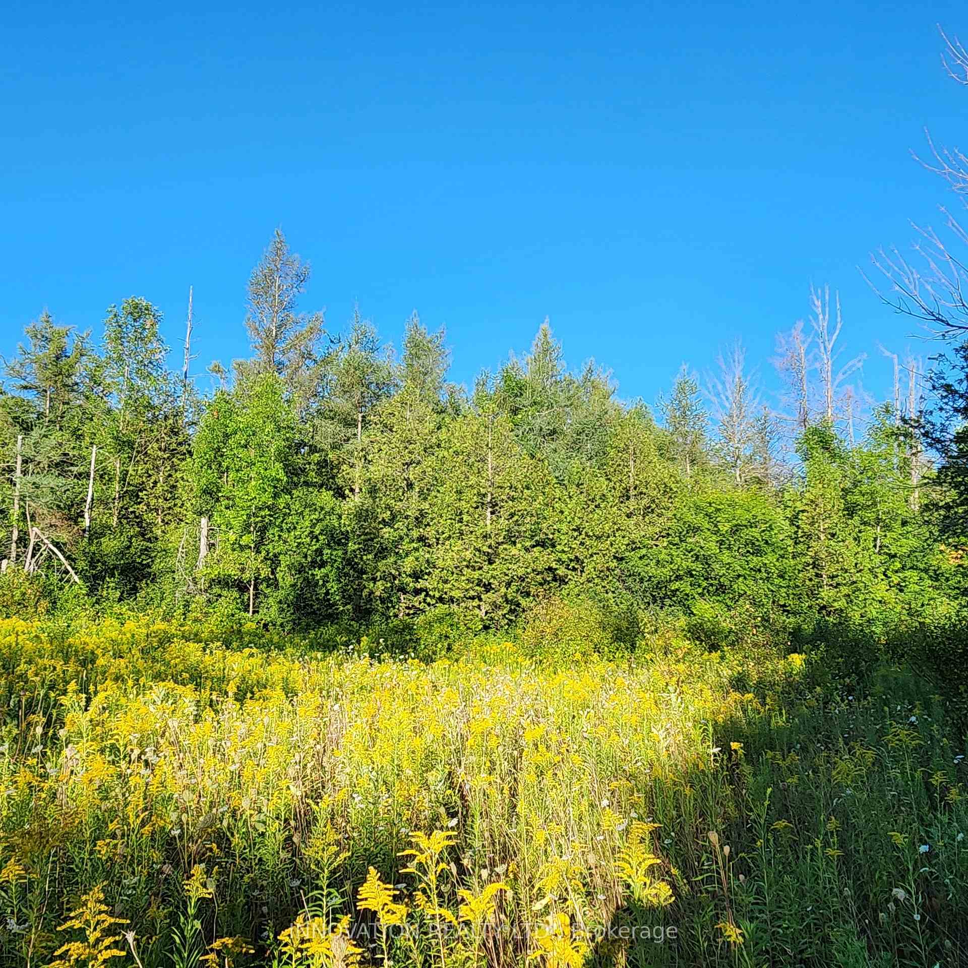 Photo 2 of 7020 Gallagher Road, Ottawa, Rideau Twp S of Reg Rd 6 W of Mccordick Rd. — HOMEH