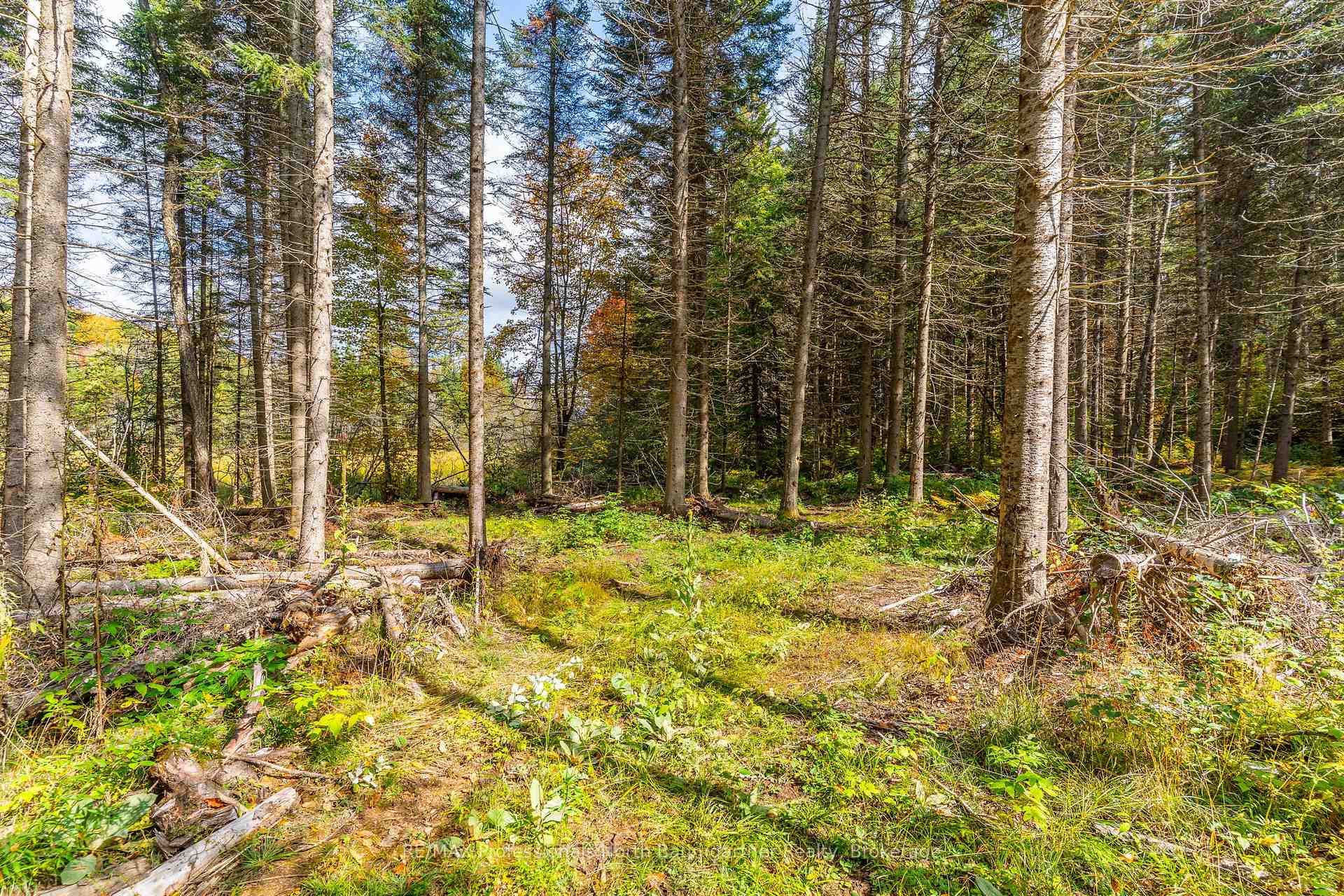 Photo 2 of 1099 Penzance Trail, Highlands East, Monmouth — HOMEH