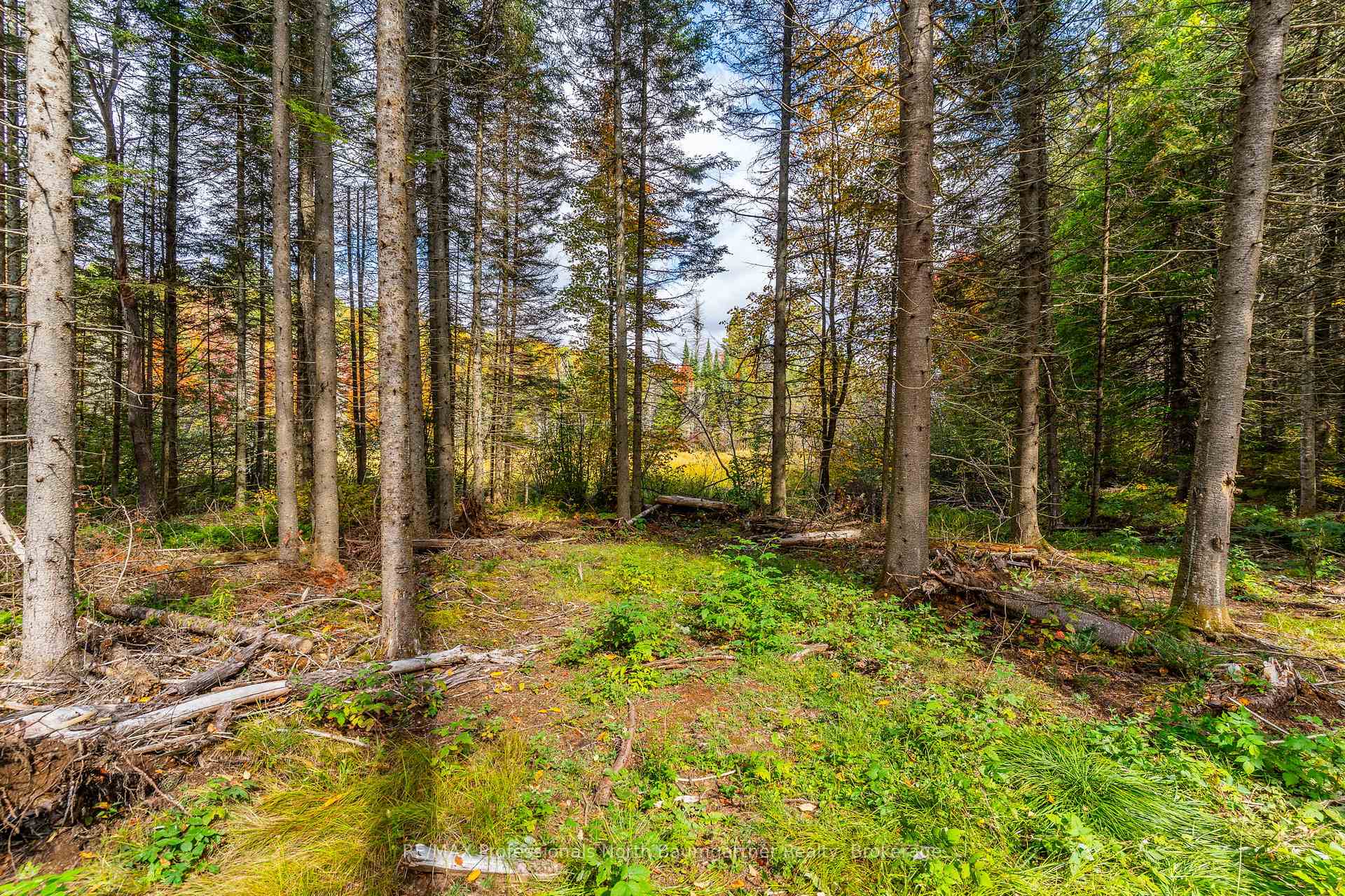 Photo 3 of 1099 Penzance Trail, Highlands East, Monmouth — HOMEH