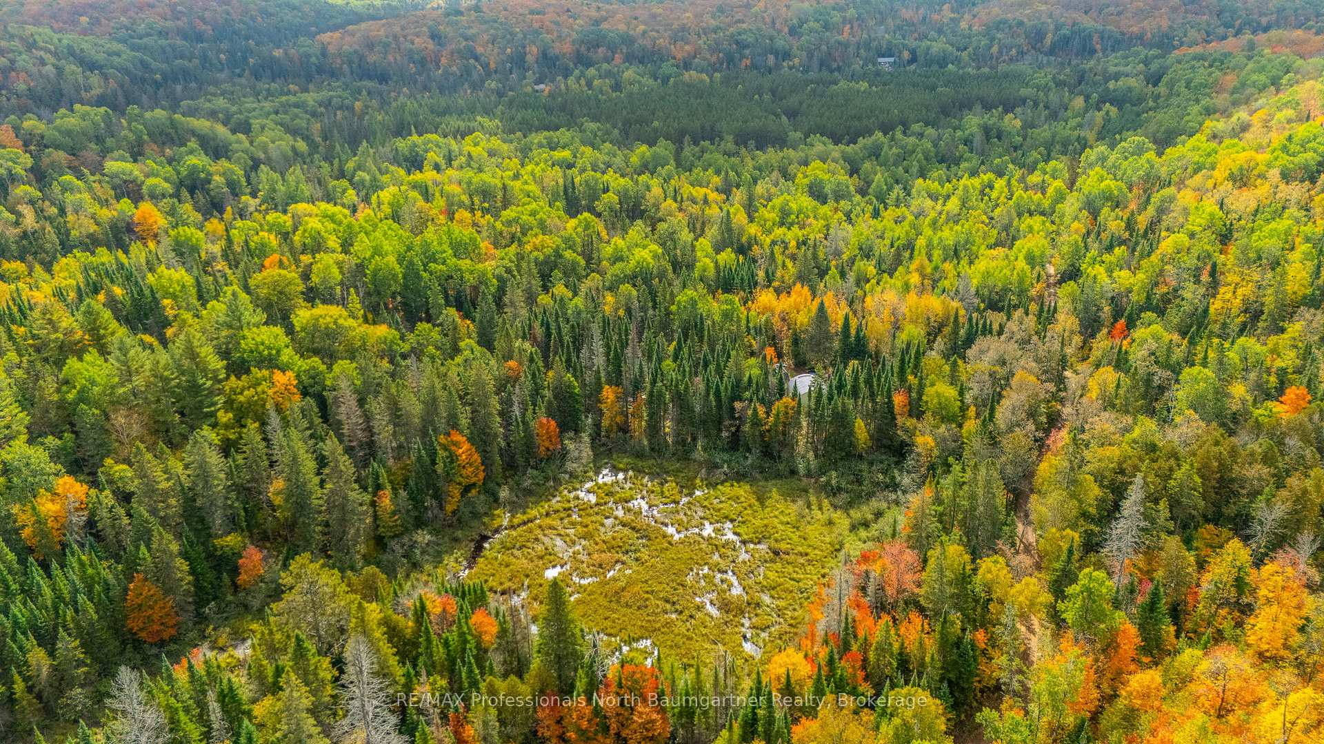 Photo 14 of 1099 Penzance Trail, Highlands East, Monmouth — HOMEH