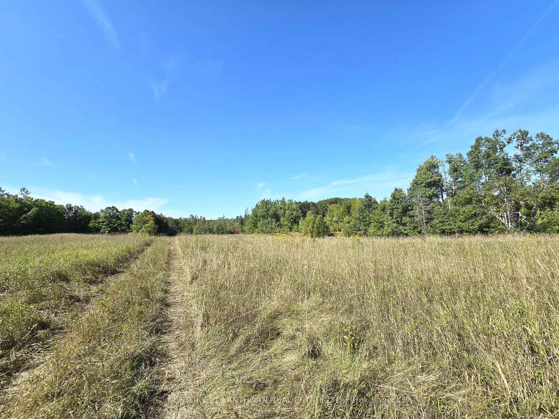 Photo 34 of 00 Morrison Road, Madoc — HOMEH