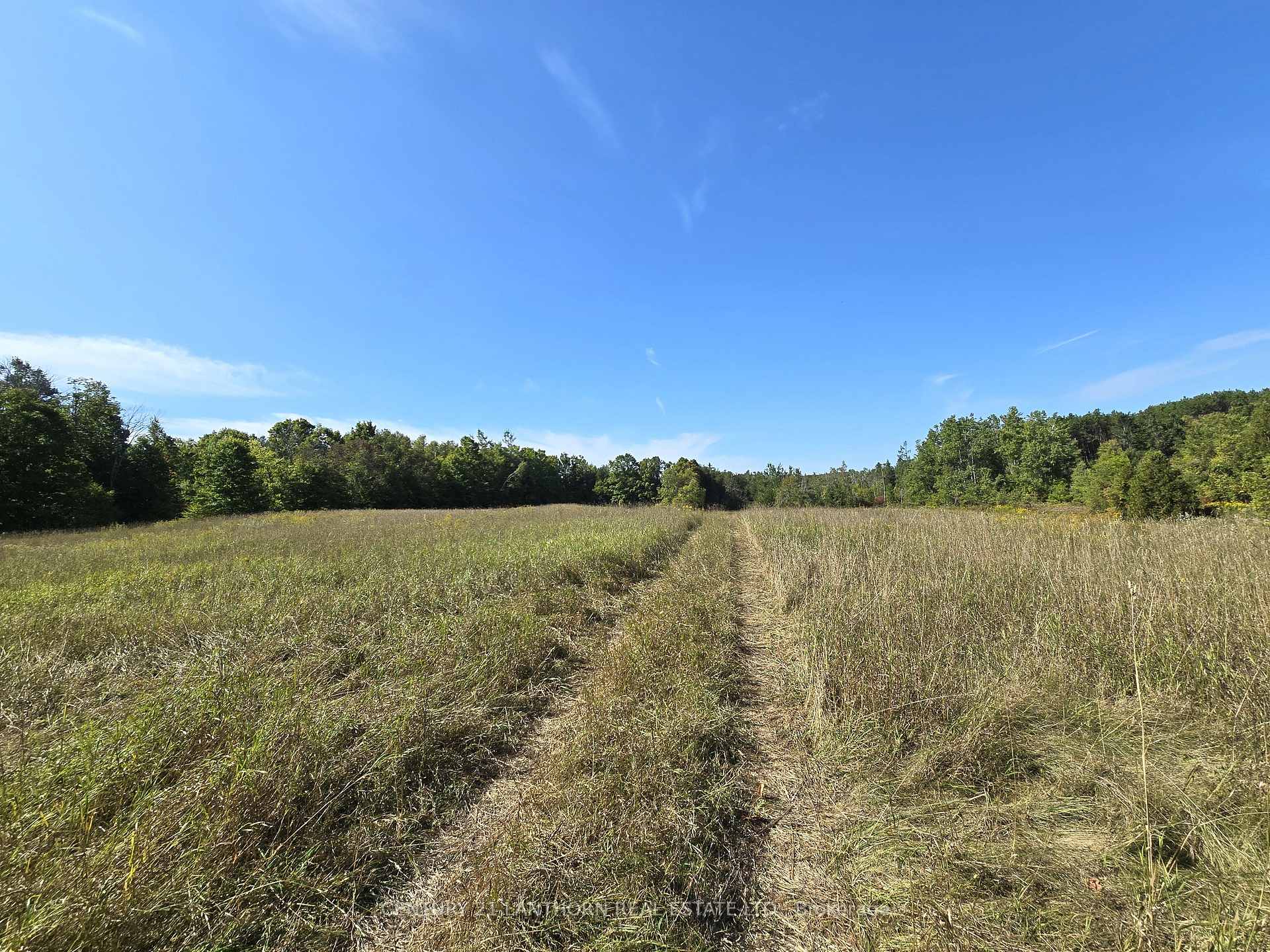 Photo 35 of 00 Morrison Road, Madoc — HOMEH
