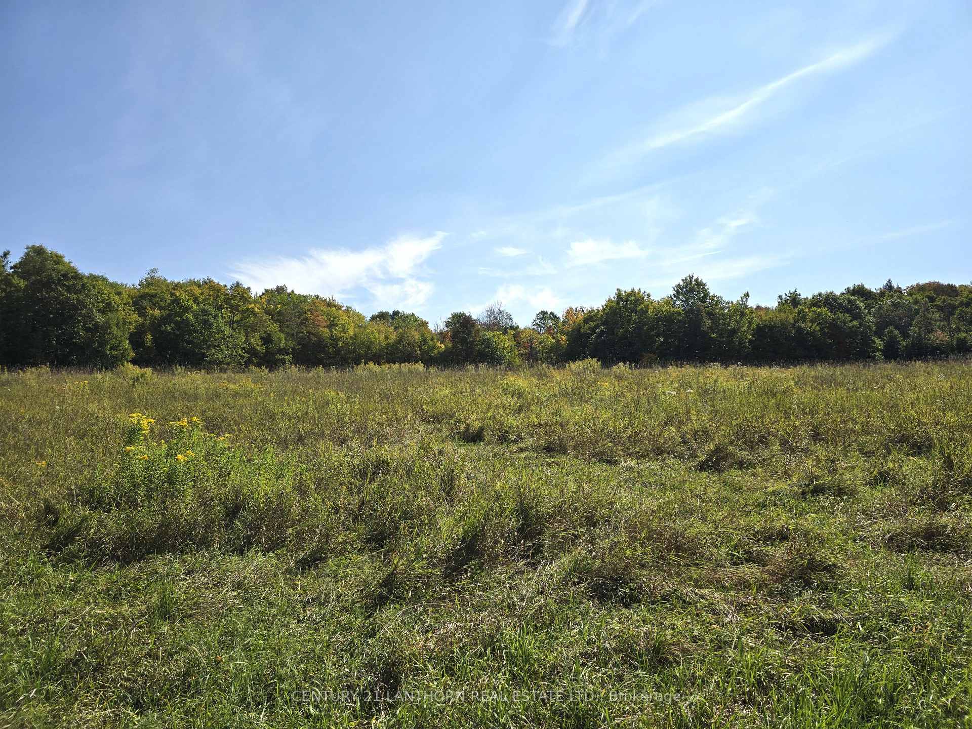Photo 37 of 00 Morrison Road, Madoc — HOMEH