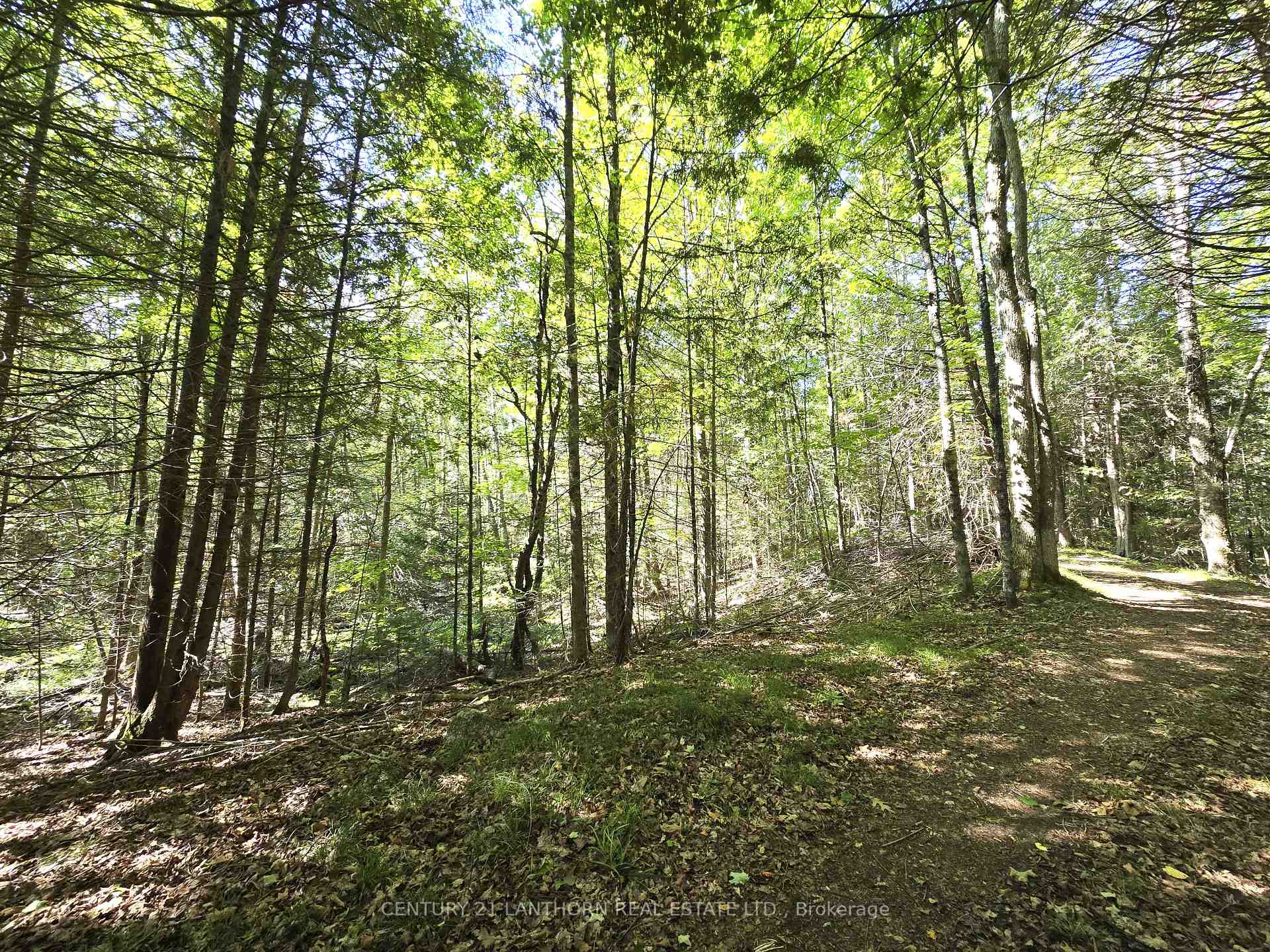 Photo 40 of 00 Morrison Road, Madoc — HOMEH