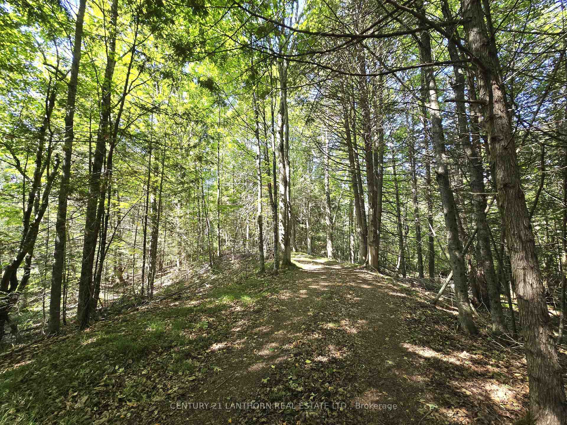 Photo 41 of 00 Morrison Road, Madoc — HOMEH
