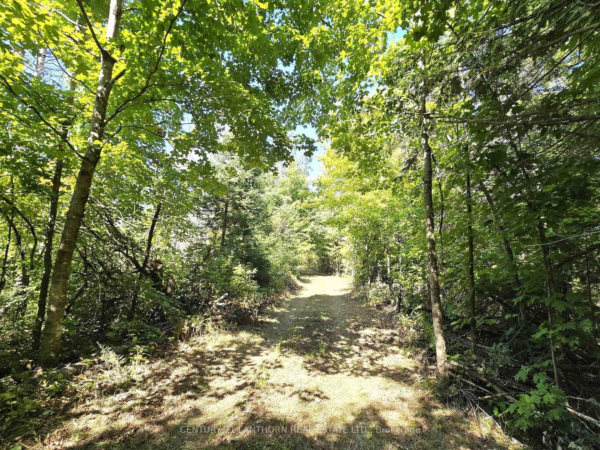 Photo 42 of 00 Morrison Road, Madoc — HOMEH