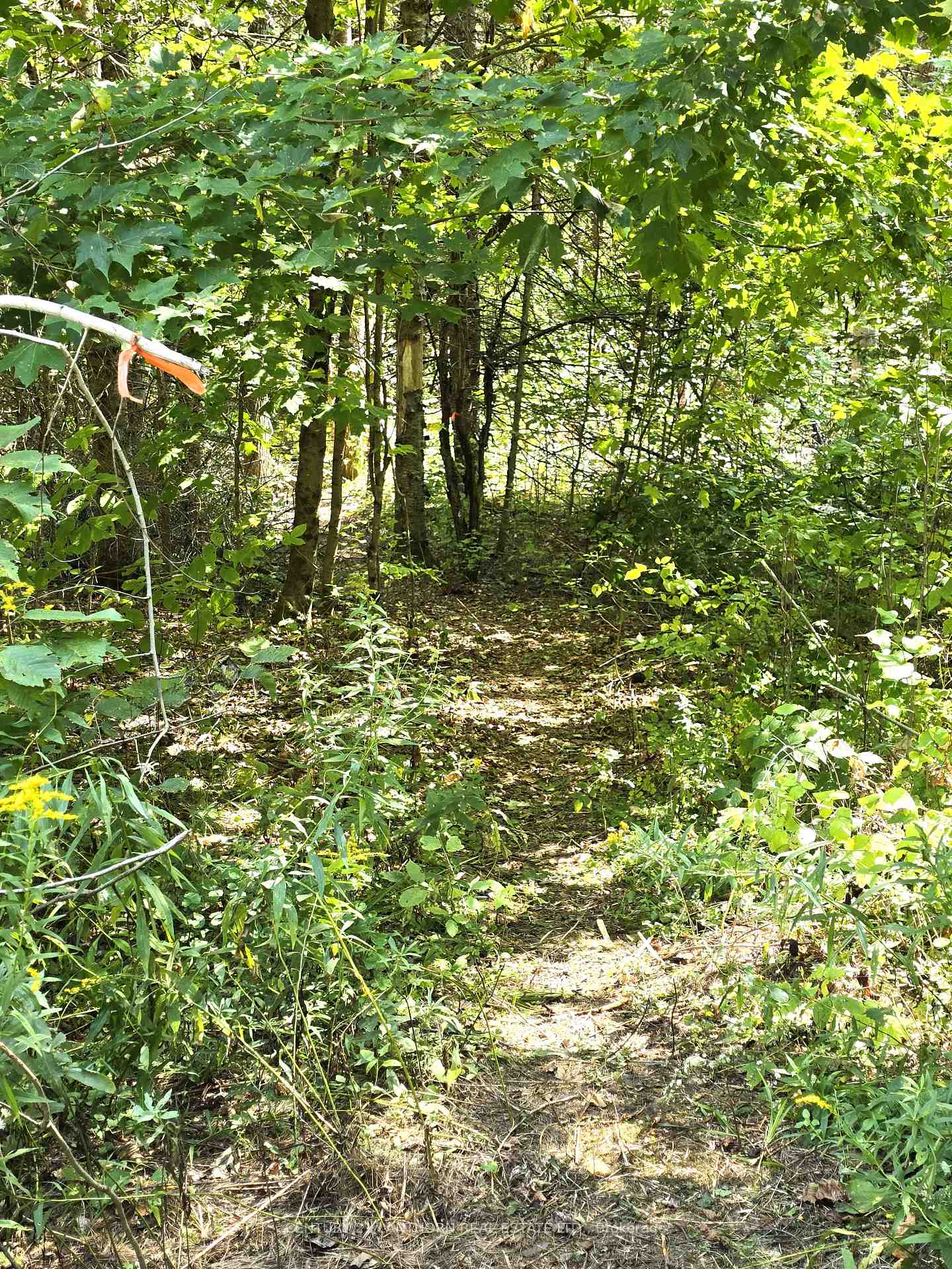 Photo 43 of 00 Morrison Road, Madoc — HOMEH