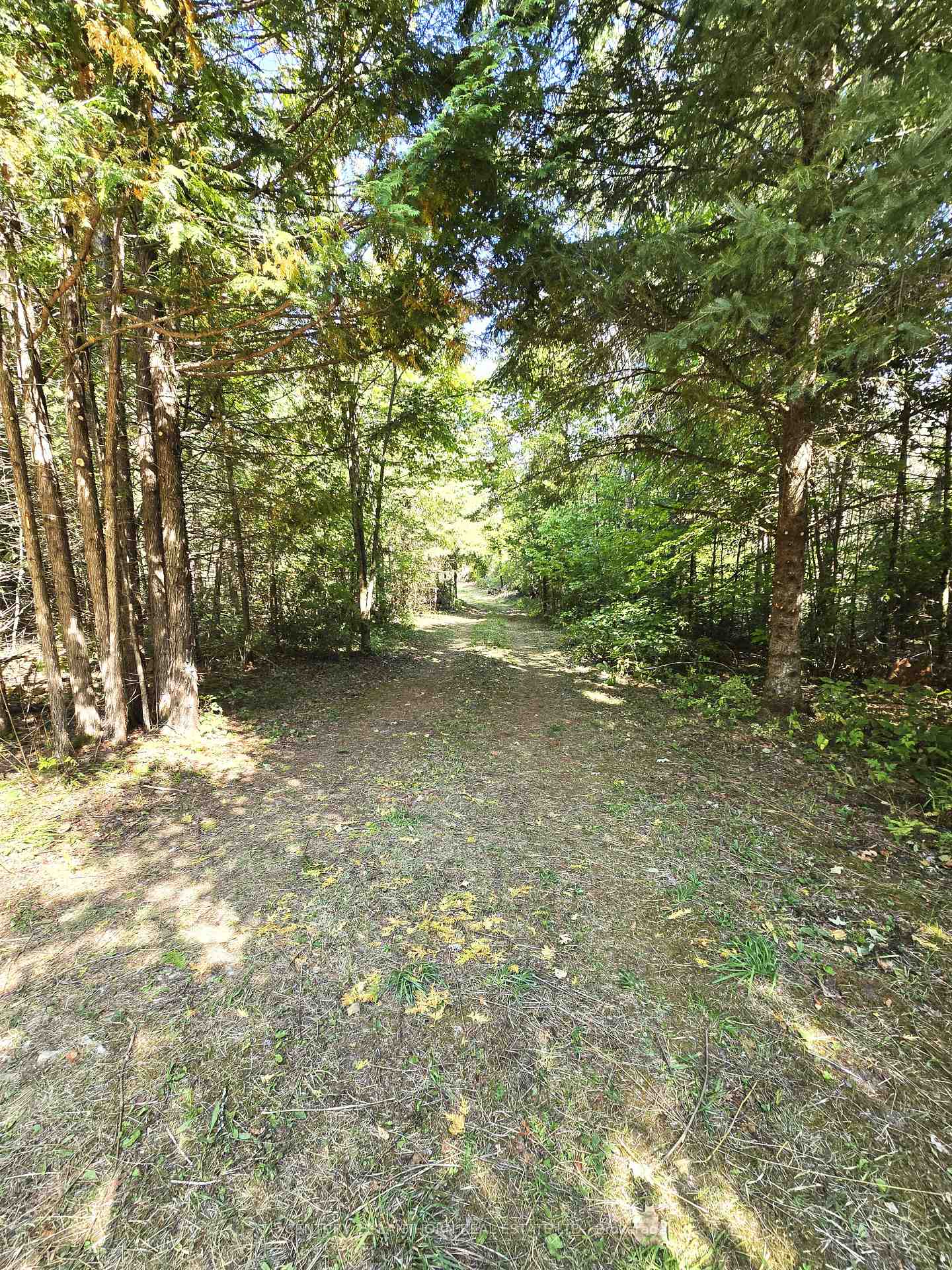 Photo 44 of 00 Morrison Road, Madoc — HOMEH