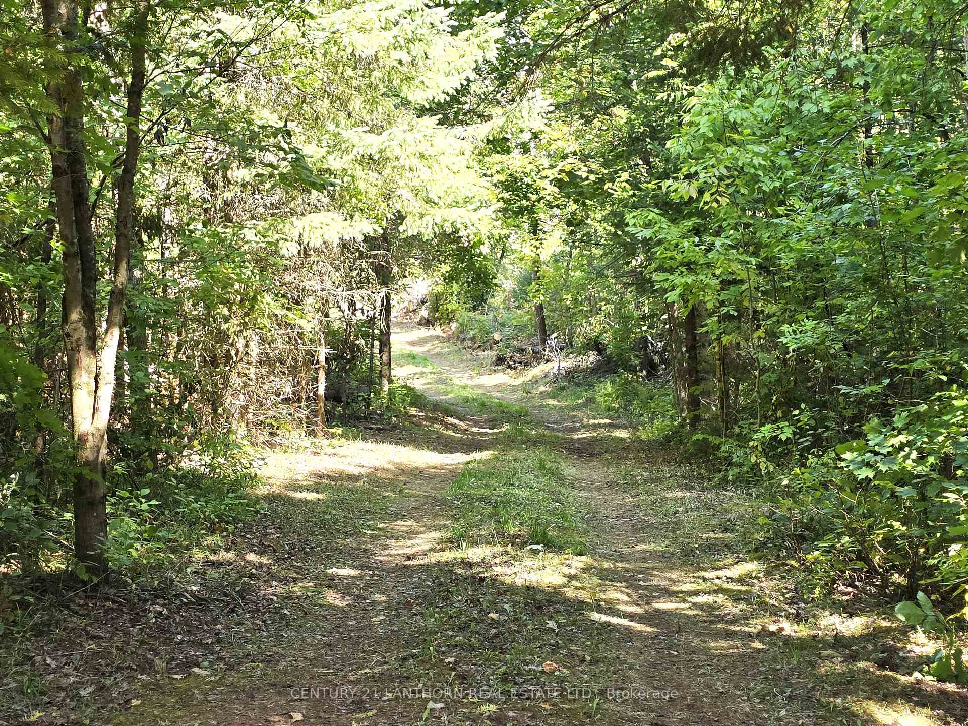 Photo 45 of 00 Morrison Road, Madoc — HOMEH