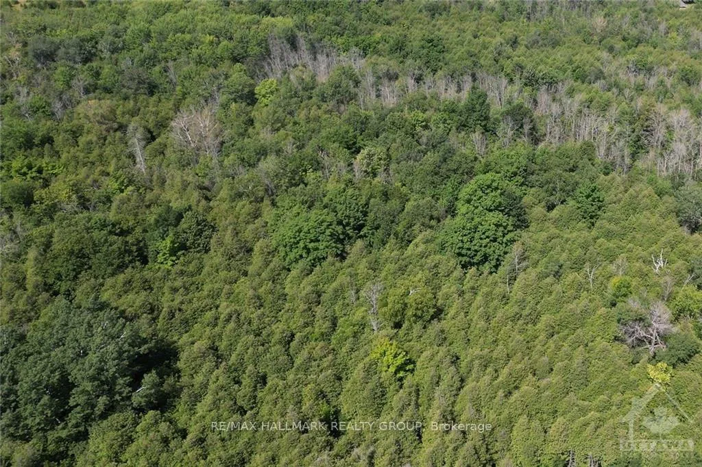 Photo 8 of LOT 3 Malakoff Road, Ottawa, Rideau Twp S of Reg Rd 6 W of Mccordick Rd. — HOMEH
