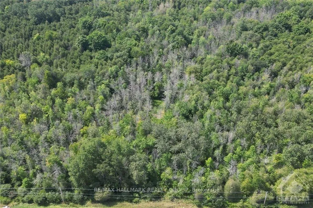 Photo 23 of LOT 3 Malakoff Road, Ottawa, Rideau Twp S of Reg Rd 6 W of Mccordick Rd. — HOMEH