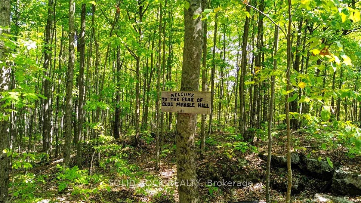 Photo 41 of 400 Pigden Road, Madoc — HOMEH