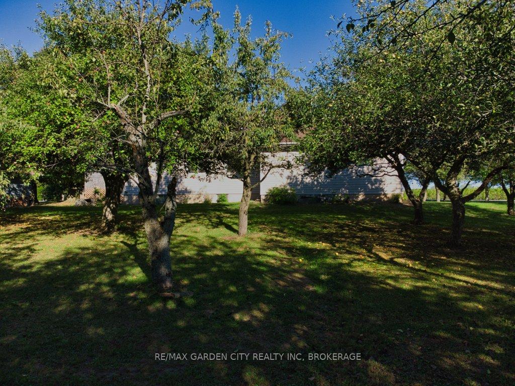 Photo 41 of 3814 Eleventh Street, Lincoln, Lincoln-Jordan/Vineland — HOMEH