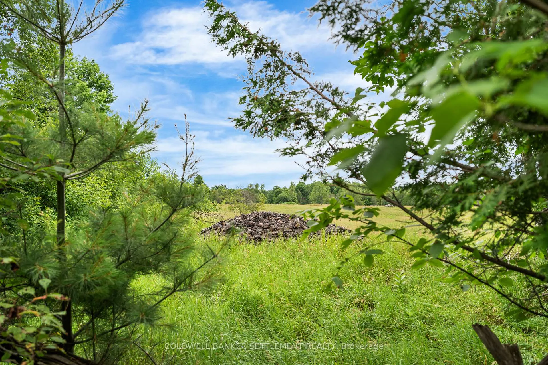 Photo 12 of PT 1 Herron Mills Road, Lanark Highlands, Lanark Highlands (Lanark) Twp — HOMEH