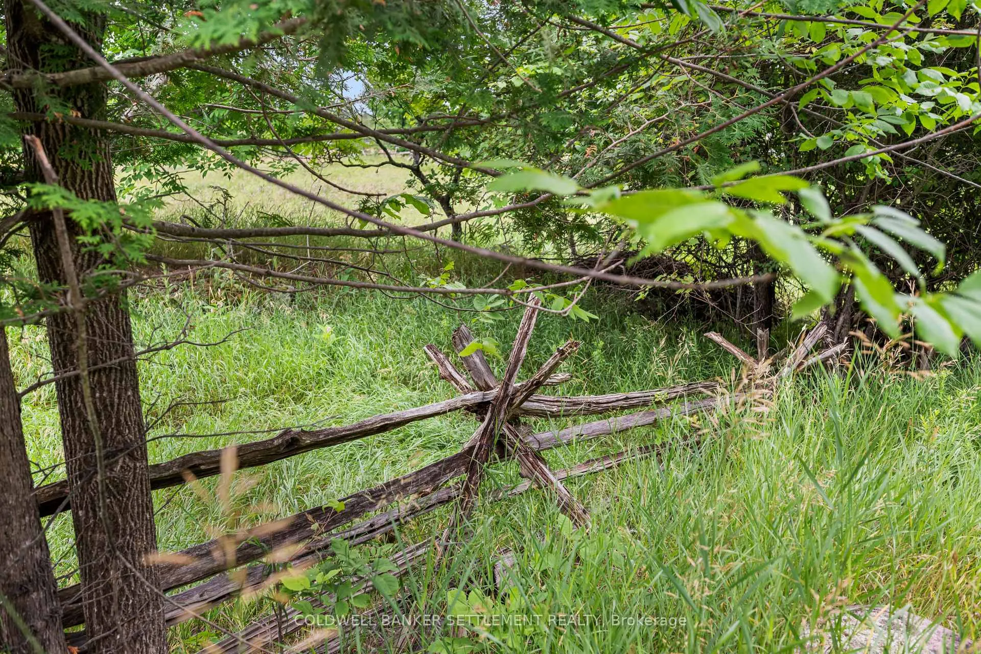 Photo 13 of PT 1 Herron Mills Road, Lanark Highlands, Lanark Highlands (Lanark) Twp — HOMEH