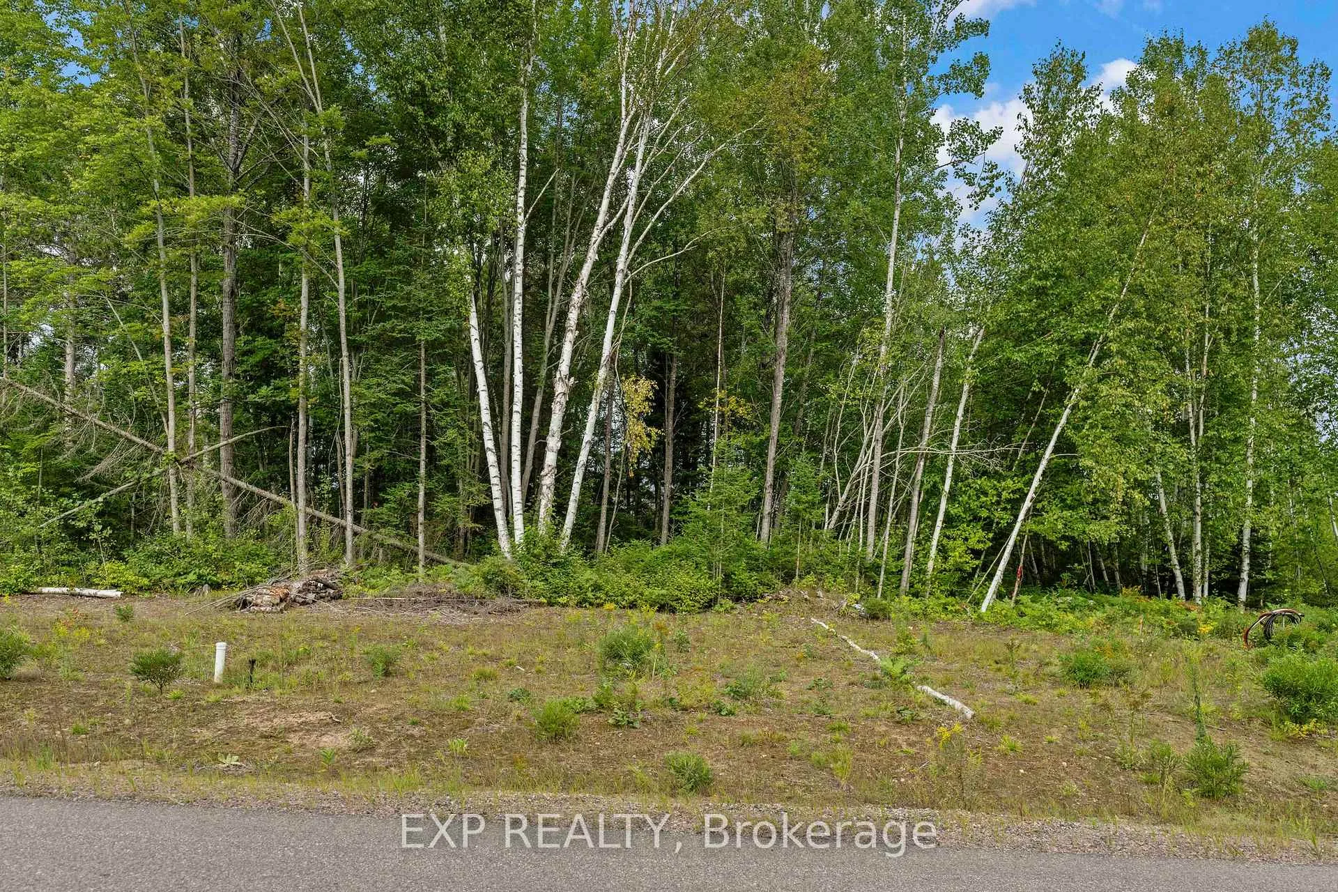 Photo 1 of 00Lot14 Birchview Drive, Madawaska Valley, Madawaska Valley — HOMEH