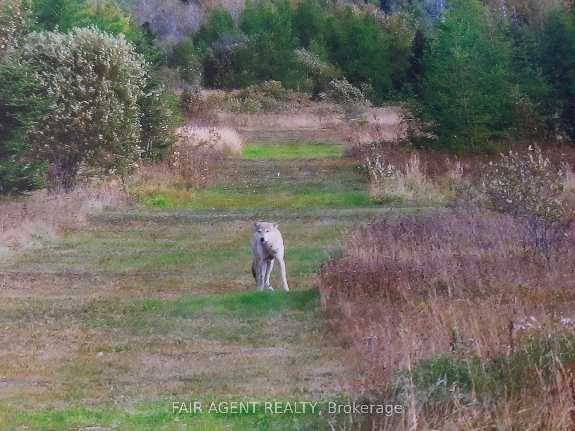 Photo 2 of 242 ON-11, Kapuskasing — HOMEH