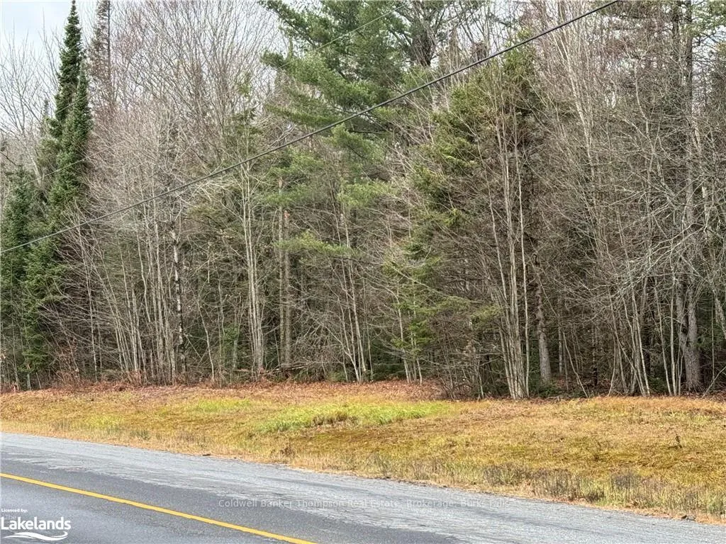 Photo of LOTS 1, 2 & 3 Highway 518 W