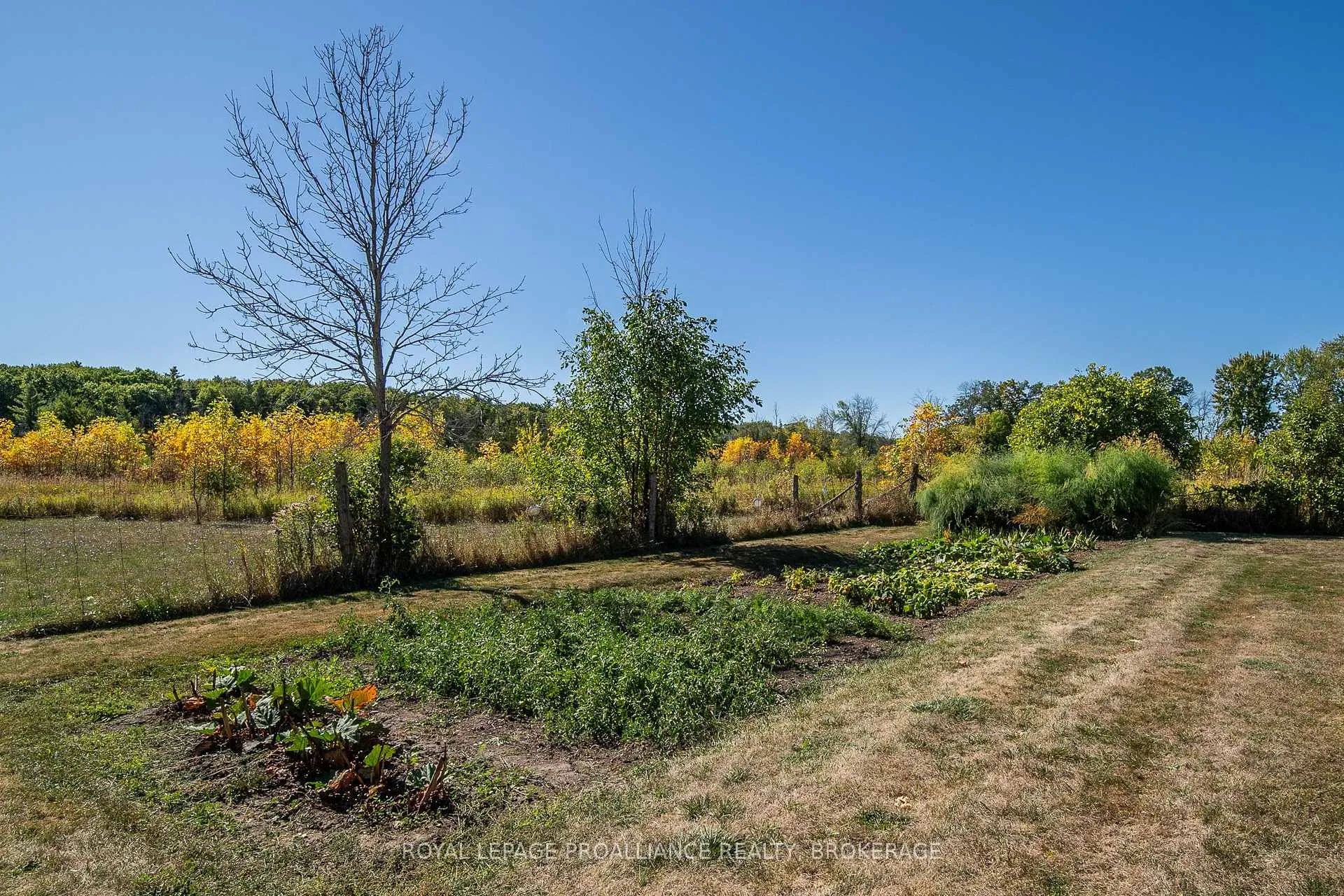 Photo 30 of 2292 Mcintyre Road, Loyalist, Lennox and Addington - South — HOMEH