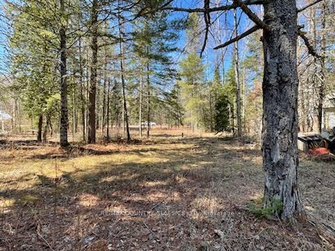 Photo 4 of 297 Glory Road, Hastings Highlands, Herschel Ward — HOMEH