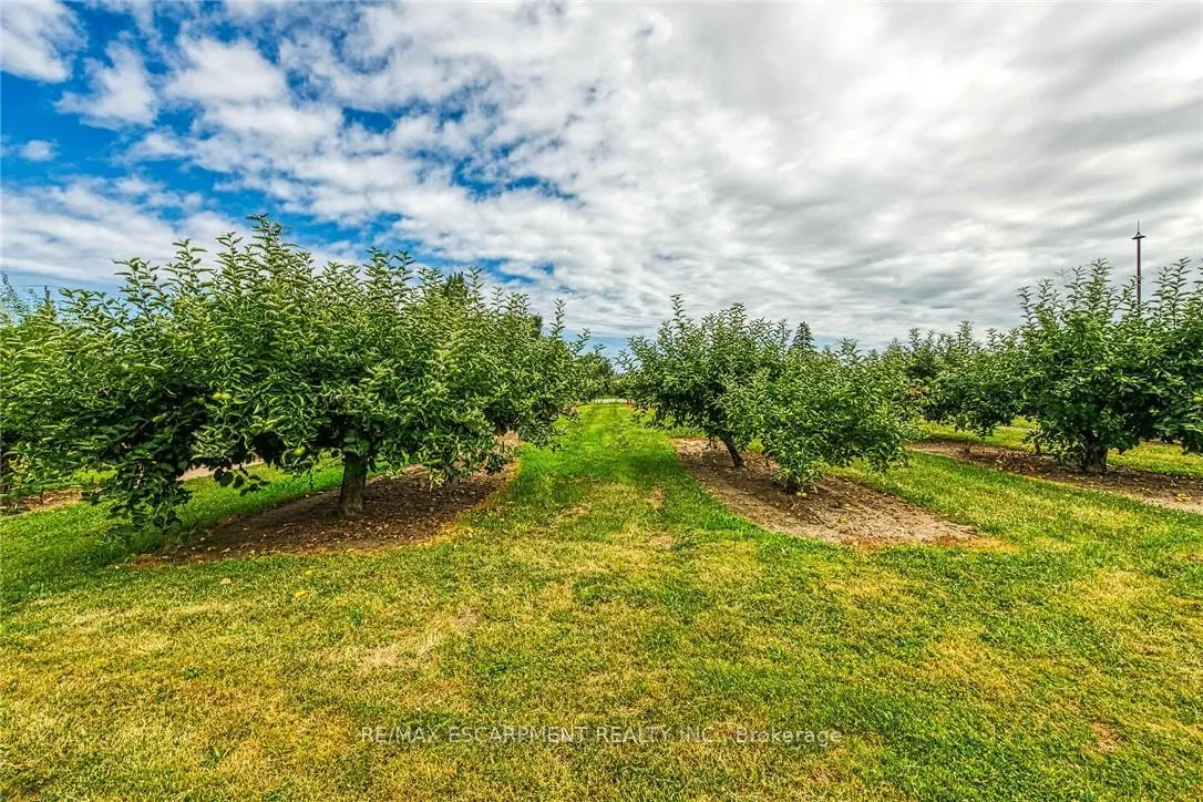 Photo 41 of 5581 King Street, Lincoln, Beamsville — HOMEH
