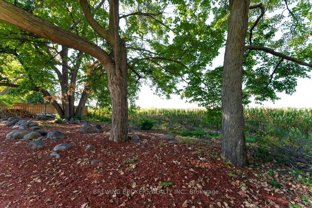 Photo 43 of 261 Nelson Crescent, Innisfil, Stroud — HOMEH