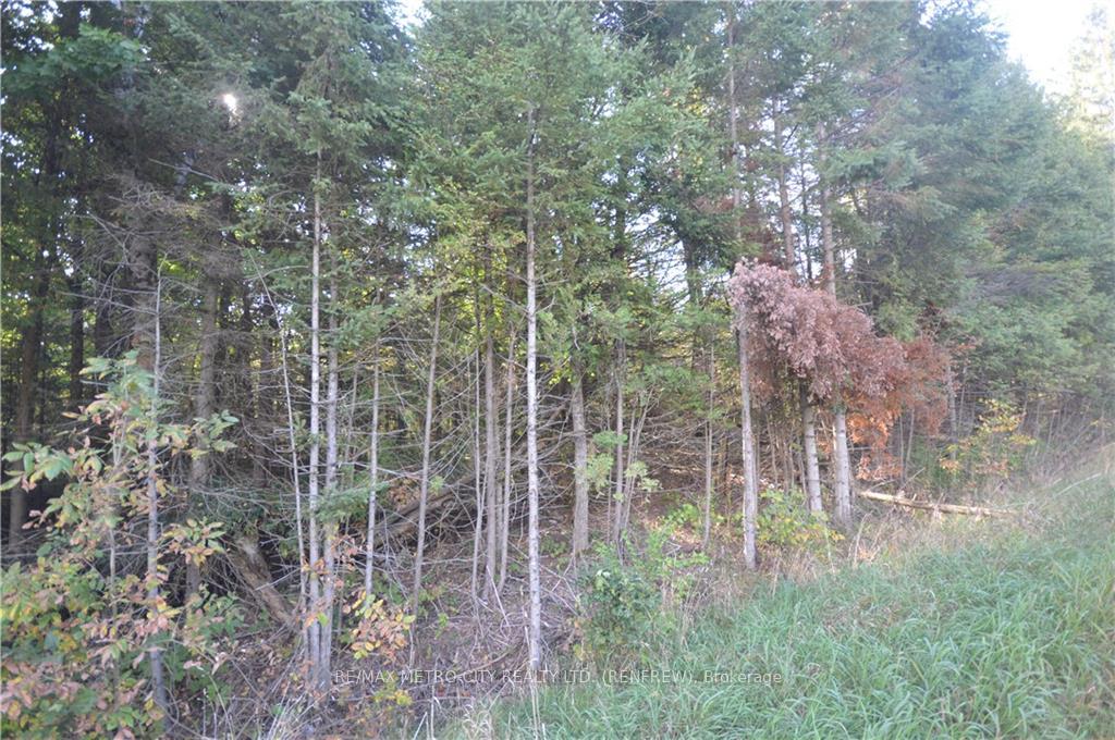 Photo 3 of 00 Castleford Road, Horton, Horton Twp — HOMEH