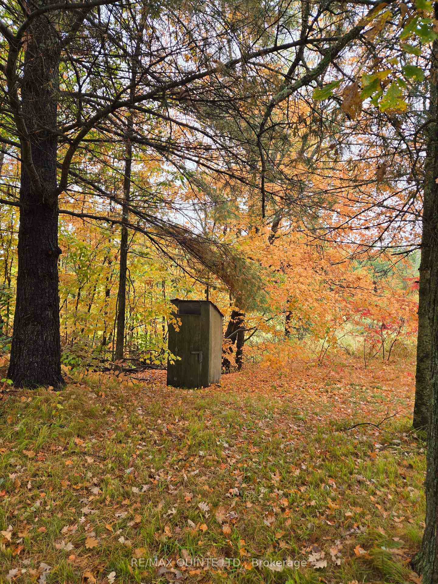 Photo 8 of 1578 Cooper Road, Madoc — HOMEH