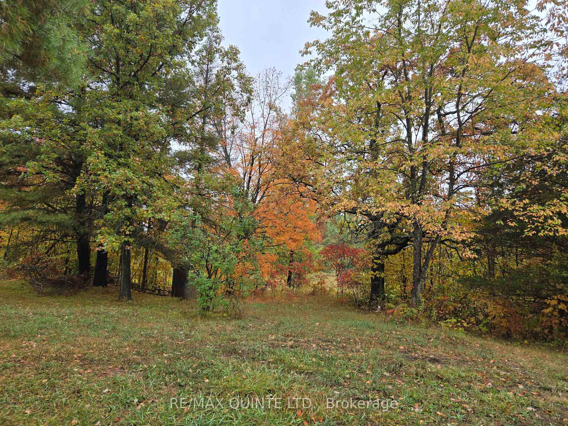 Photo 9 of 1578 Cooper Road, Madoc — HOMEH