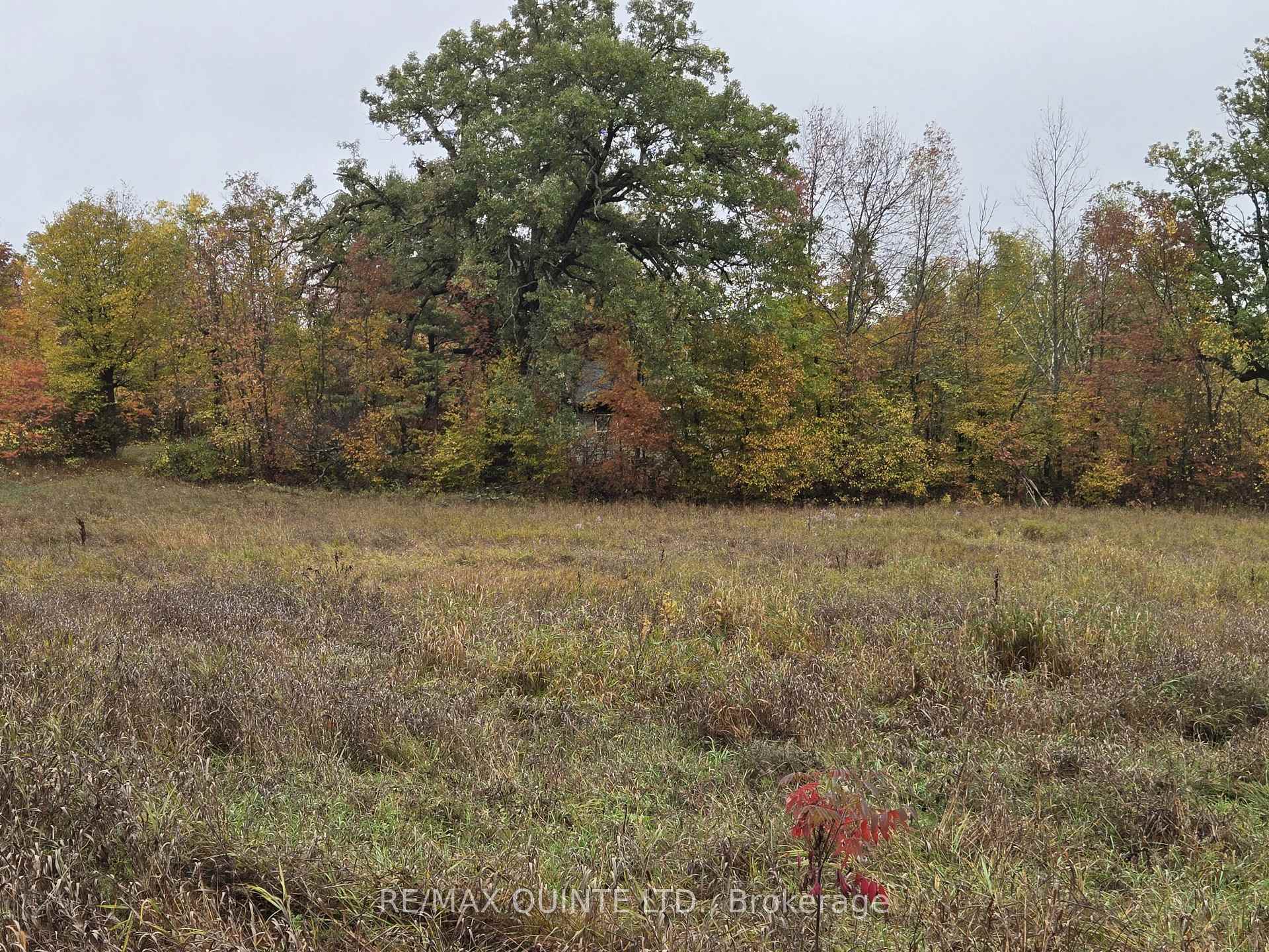 Photo 10 of 1578 Cooper Road, Madoc — HOMEH