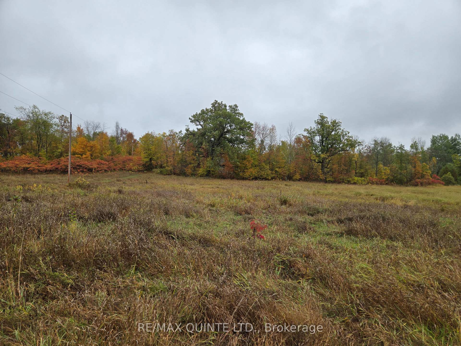 Photo 11 of 1578 Cooper Road, Madoc — HOMEH