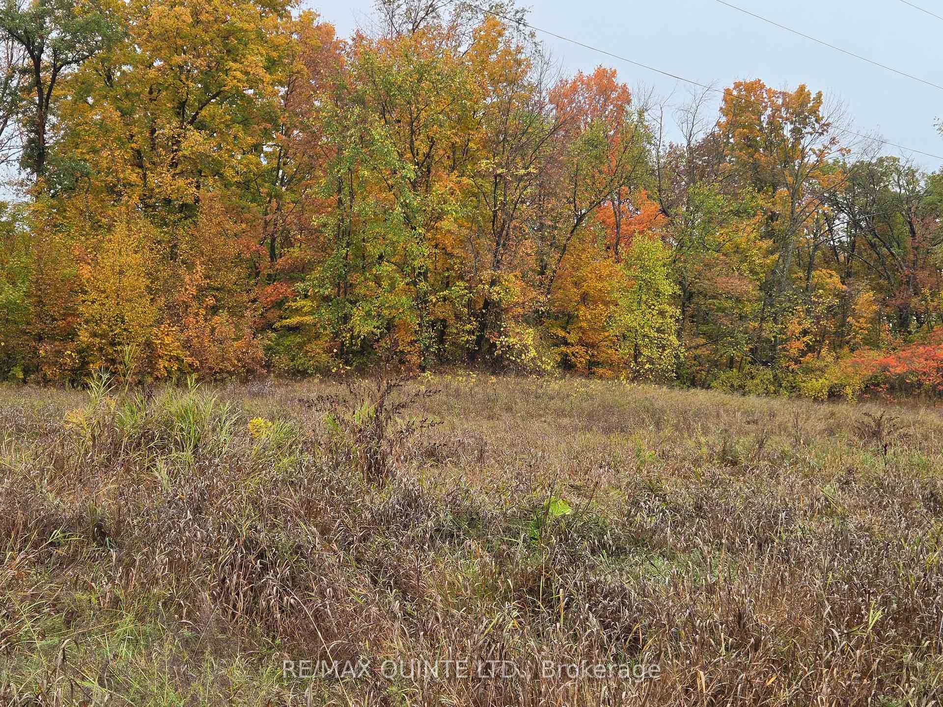 Photo 12 of 1578 Cooper Road, Madoc — HOMEH