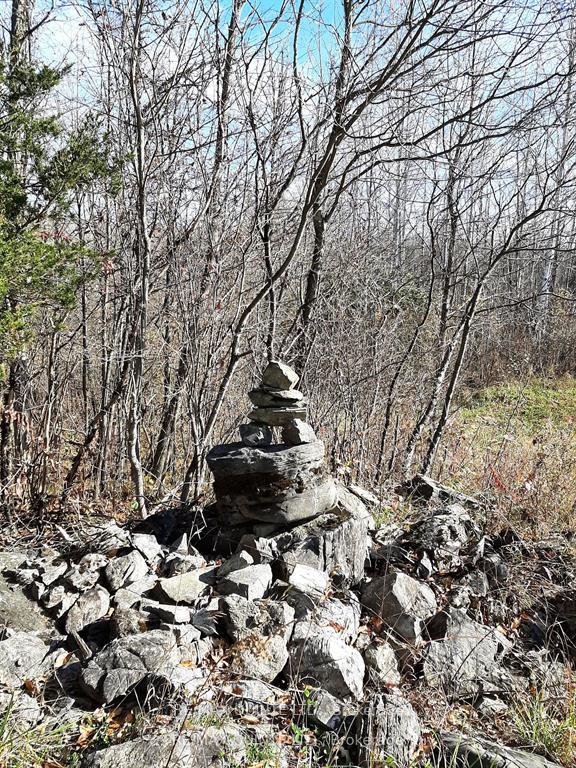 Photo 30 of 1578 Cooper Road, Madoc — HOMEH