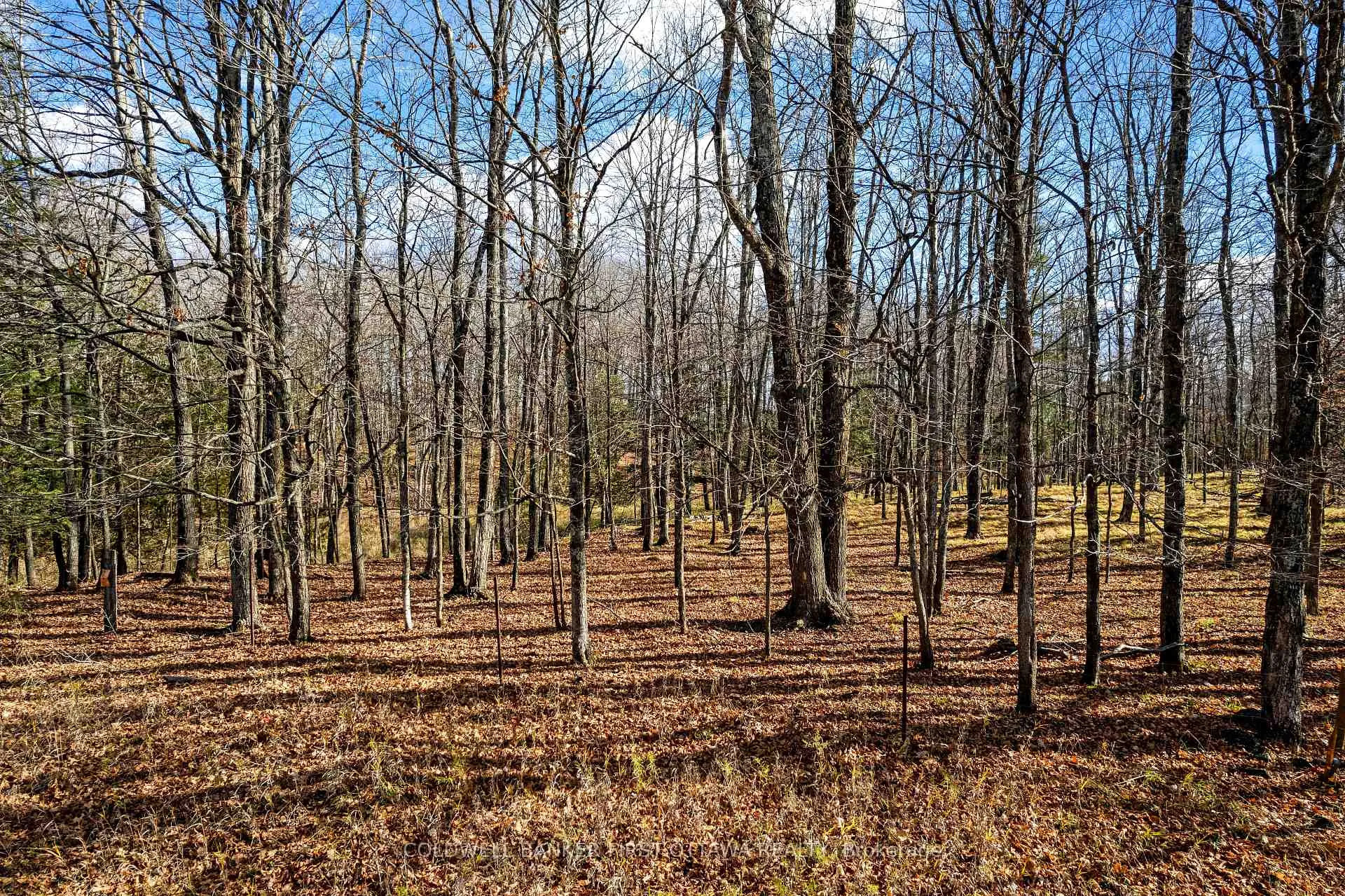 Photo of PT 3-00 Herron Mills Road