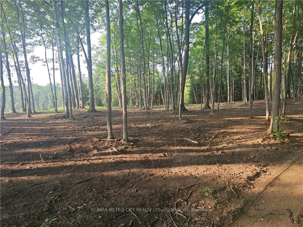 Photo 14 of 2193 Chapeski Lane, Horton, Horton Twp — HOMEH