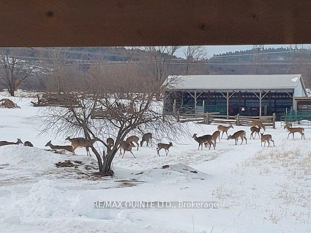 Photo 34 of 184 Palmer Road, Madoc — HOMEH