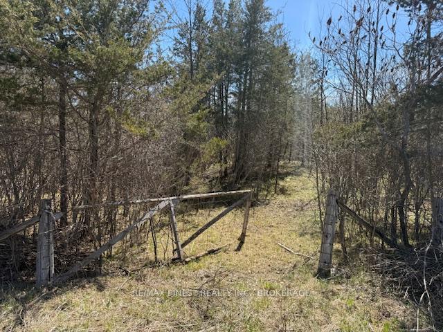 Photo 1 of 580 Love Road, Loyalist, Lennox and Addington - South — HOMEH