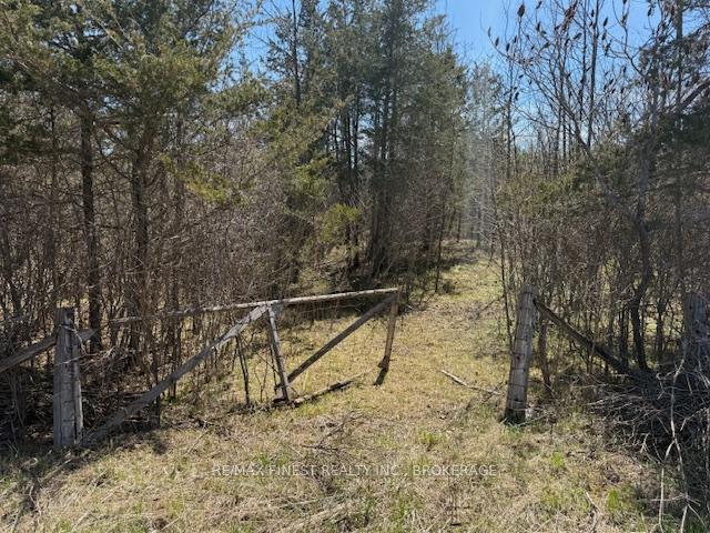 Photo 2 of 580 Love Road, Loyalist, Lennox and Addington - South — HOMEH