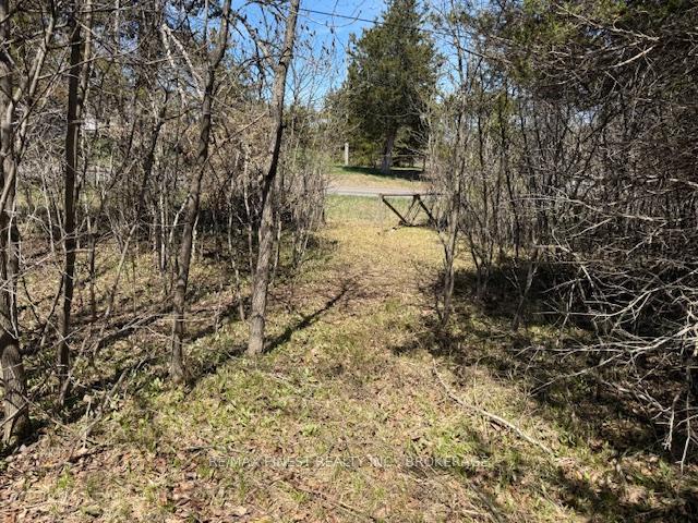 Photo 4 of 580 Love Road, Loyalist, Lennox and Addington - South — HOMEH