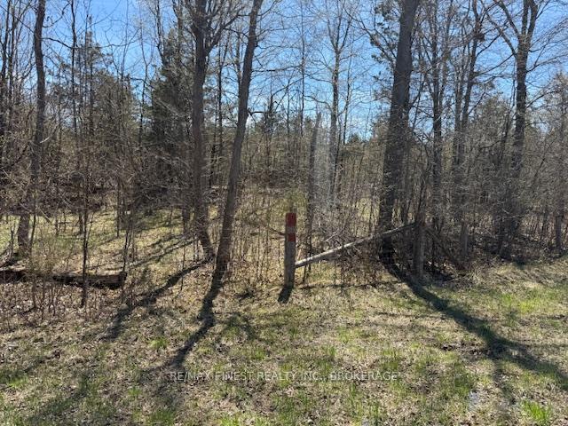 Photo 6 of 580 Love Road, Loyalist, Lennox and Addington - South — HOMEH