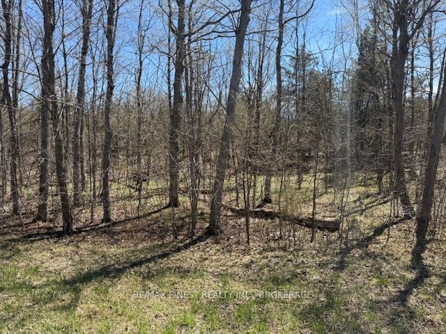 Photo 7 of 580 Love Road, Loyalist, Lennox and Addington - South — HOMEH