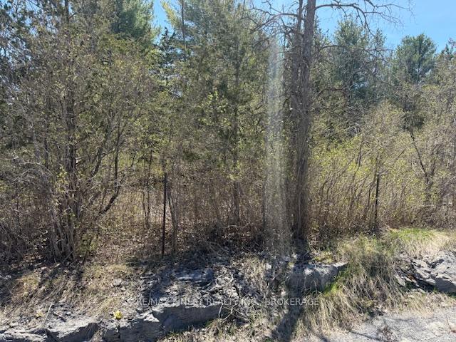 Photo 8 of 580 Love Road, Loyalist, Lennox and Addington - South — HOMEH