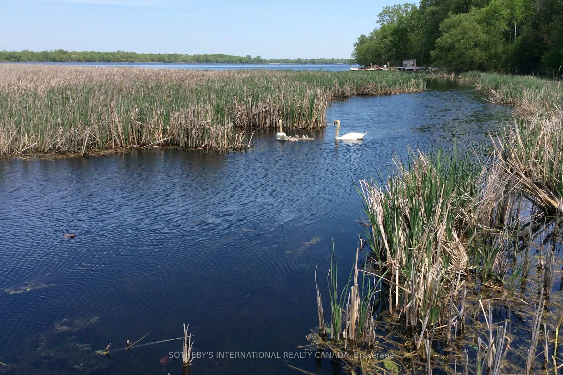 Photo 31 of 2691 County 15 Road, Prince Edward County, Sophiasburg Ward — HOMEH