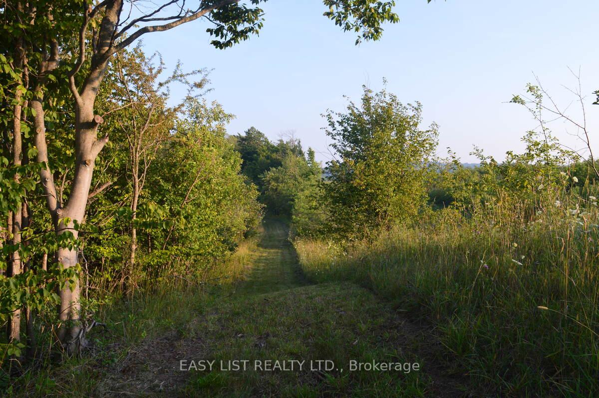 Photo 37 of 317278 Third Line, Meaford — HOMEH