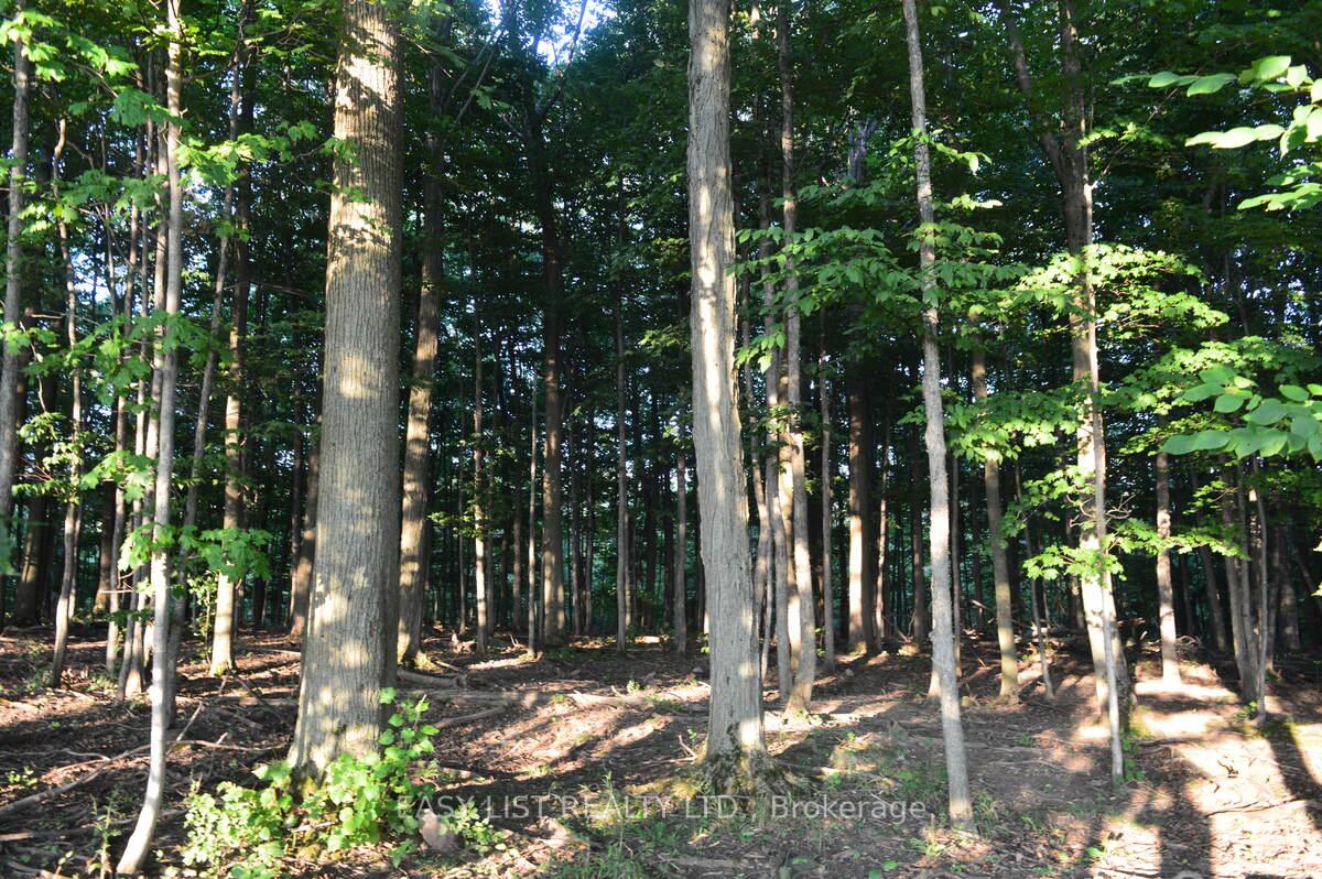 Photo 29 of 317278 Third Line, Meaford — HOMEH