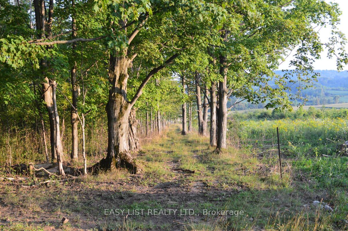 Photo 45 of 317278 Third Line, Meaford — HOMEH