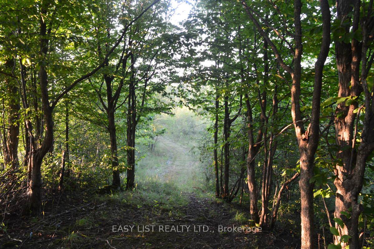 Photo 41 of 317278 Third Line, Meaford — HOMEH