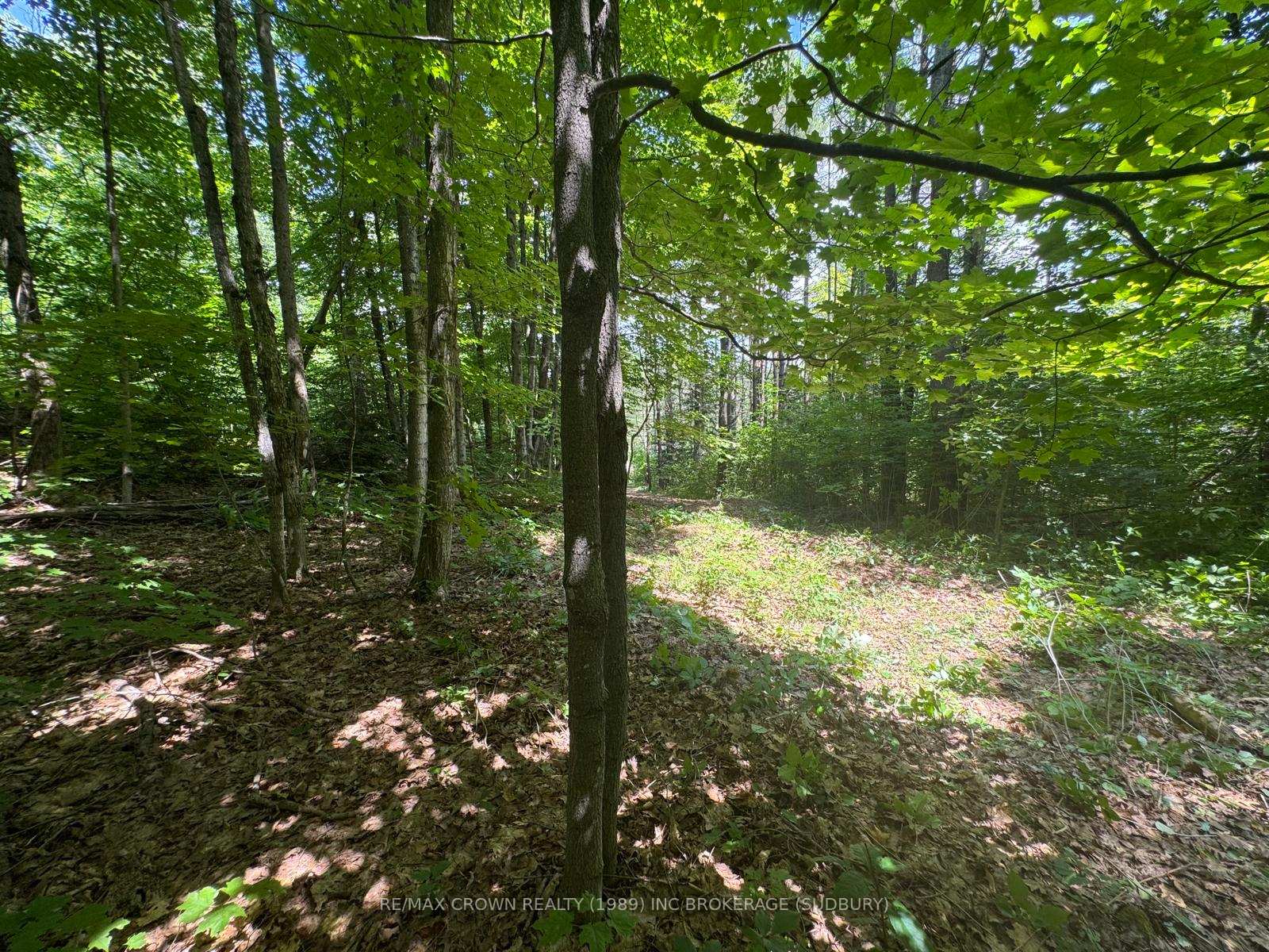 Photo 1 of PT LT 112 Con A, Seguin — HOMEH