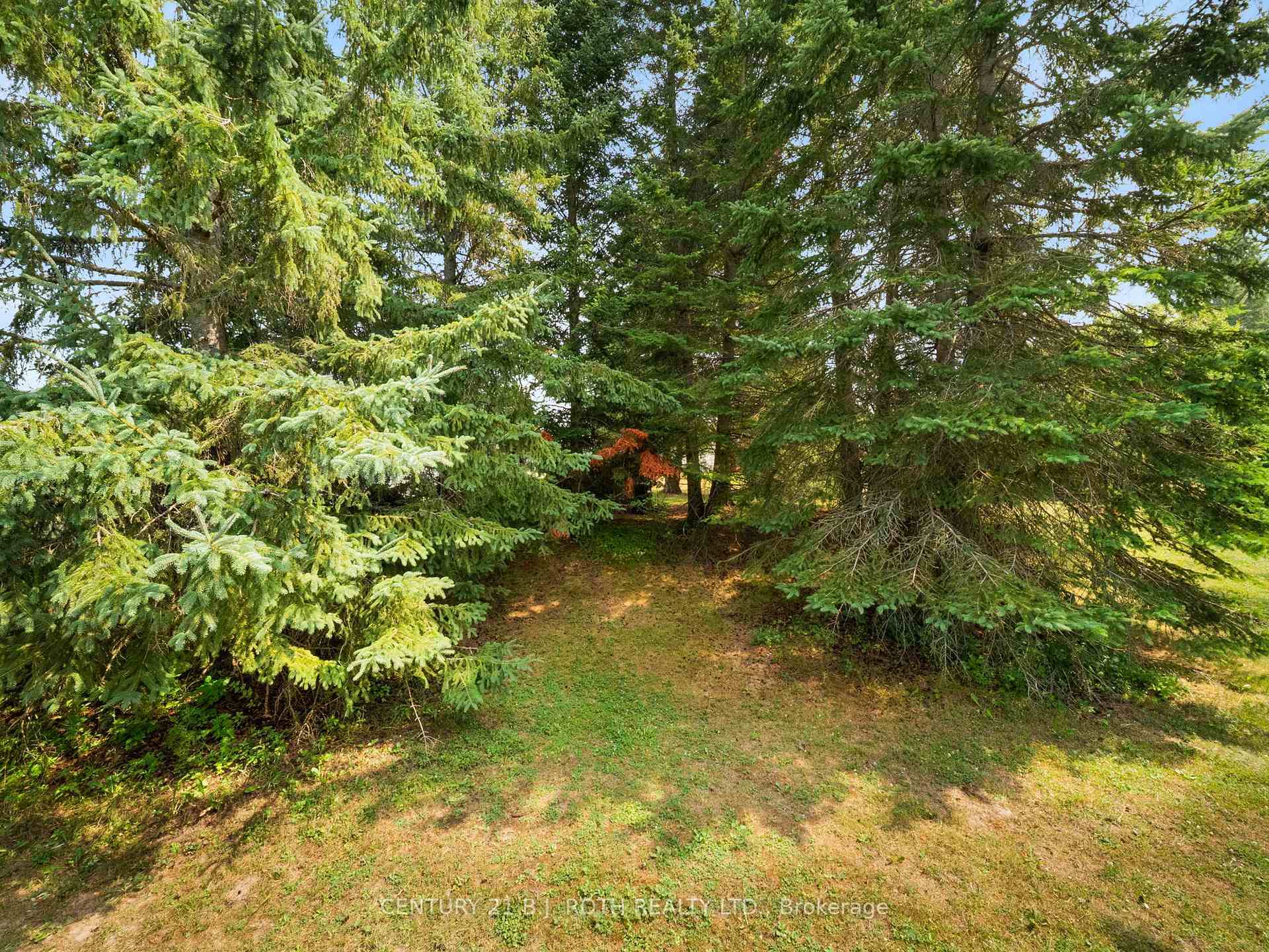 Photo 6 of 62 Tamarack Drive, Oro-Medonte, Hawkestone — HOMEH